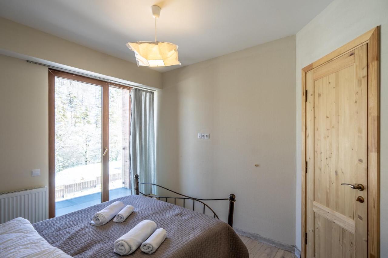 Didveli Valley Bakuriani Bagian luar foto