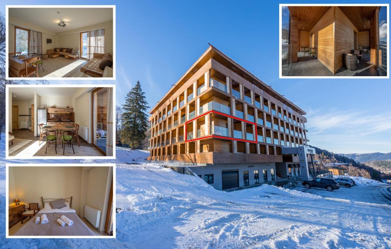 Didveli Valley Bakuriani Bagian luar foto